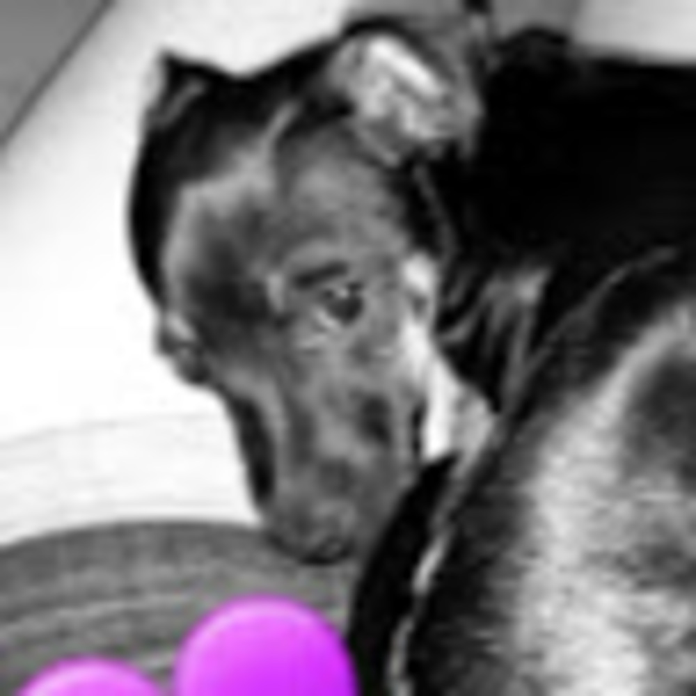 Meet your Posher, Krista